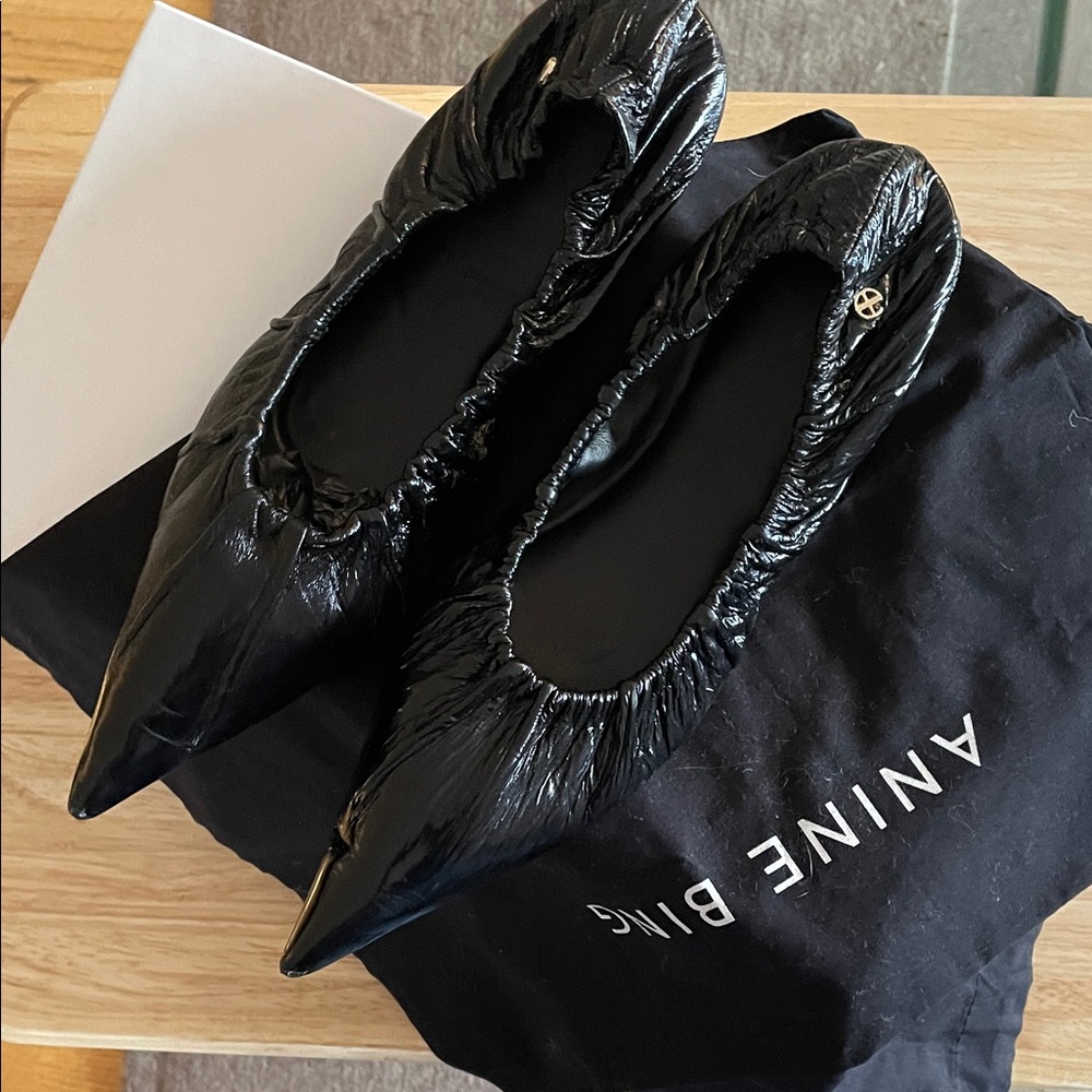 Anine Bing Black Patent Pointed Ballet Flats
